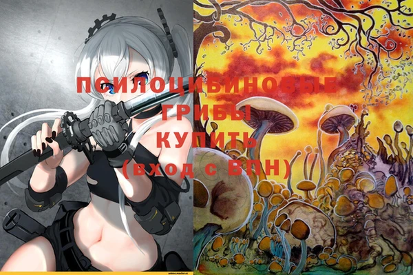 PSILOCYBIN Киреевск
