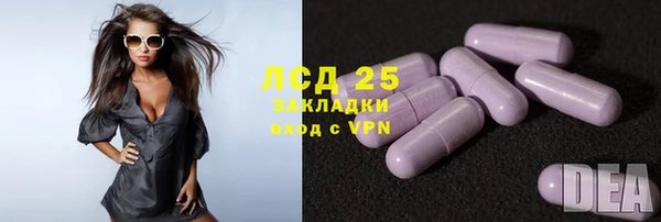 прущие грибы Каменногорск