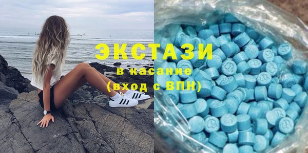 гашик Карпинск
