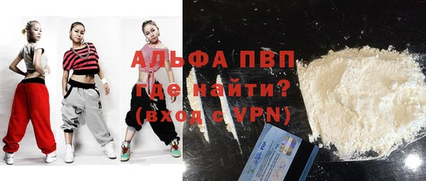 гашик Карпинск