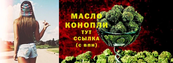 гашик Карпинск