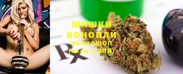 гашик Карпинск