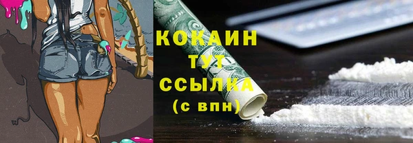 гашик Карпинск