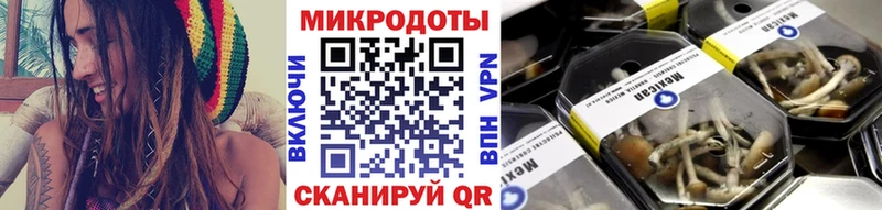 Галлюциногенные грибы Psilocybe  Краснозаводск 